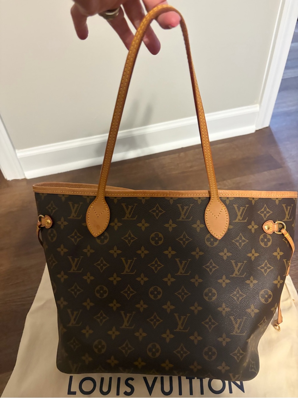 Louis Vuitton Monogram Canvas Tote in Brown and Tan